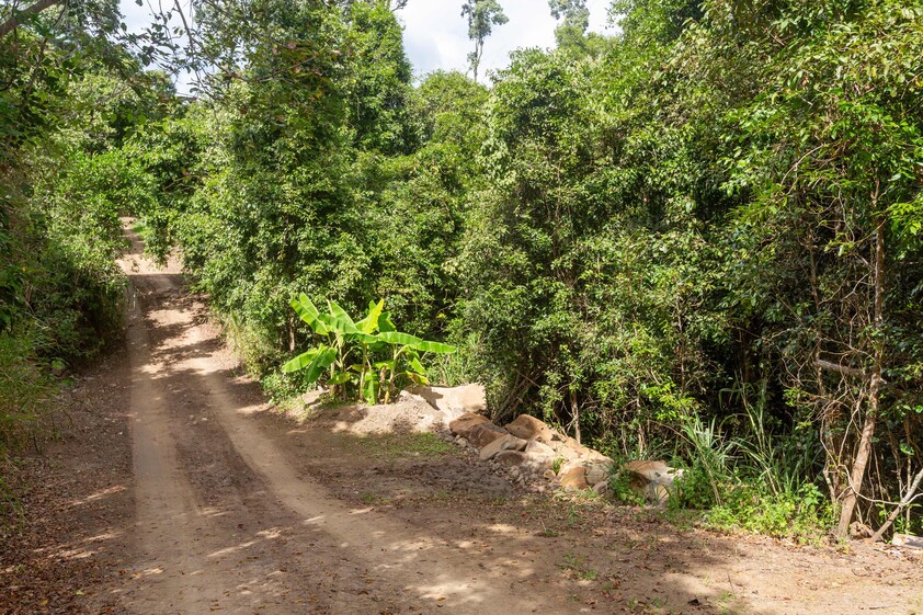 Private Mountain Top Acreage