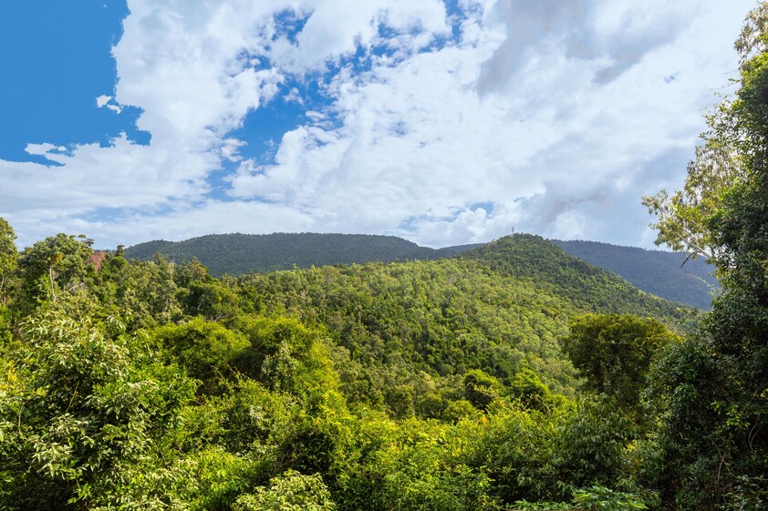 Private Mountain Top Acreage