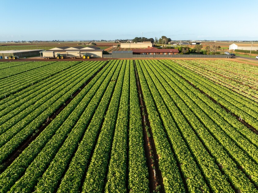 Prime Agricultural Land, in the Food-bowl Capital of Australia