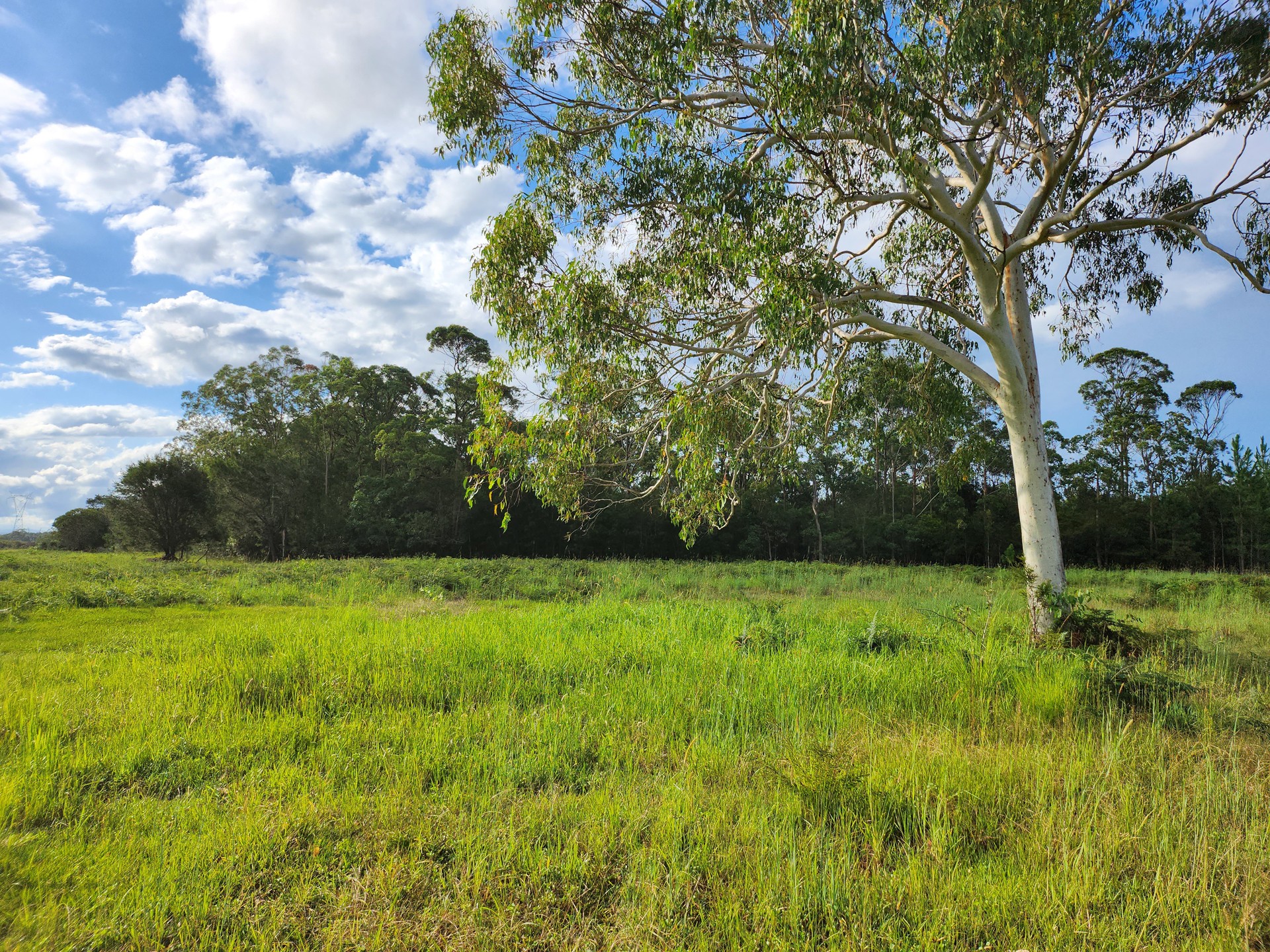 Wamuran QLD Other for Sale