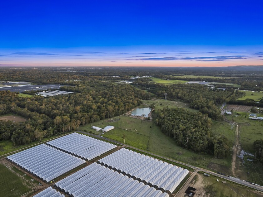 145 Child Road Wamuran QLD 4512 Acreage Semi rural for Sale