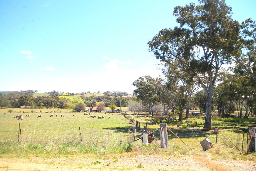 Young NSW House for Sale