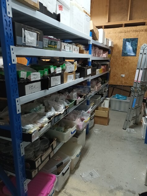 Successful Bead Store - 15 Years in Business!