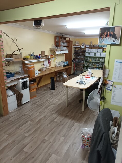 Successful Bead Store - 15 Years in Business!