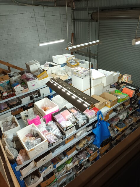 Successful Bead Store - 15 Years in Business!