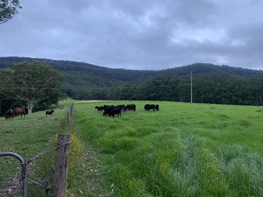 321 Mount Scanzi Road Kangaroo Valley NSW 2577 Lifestyle for Sale