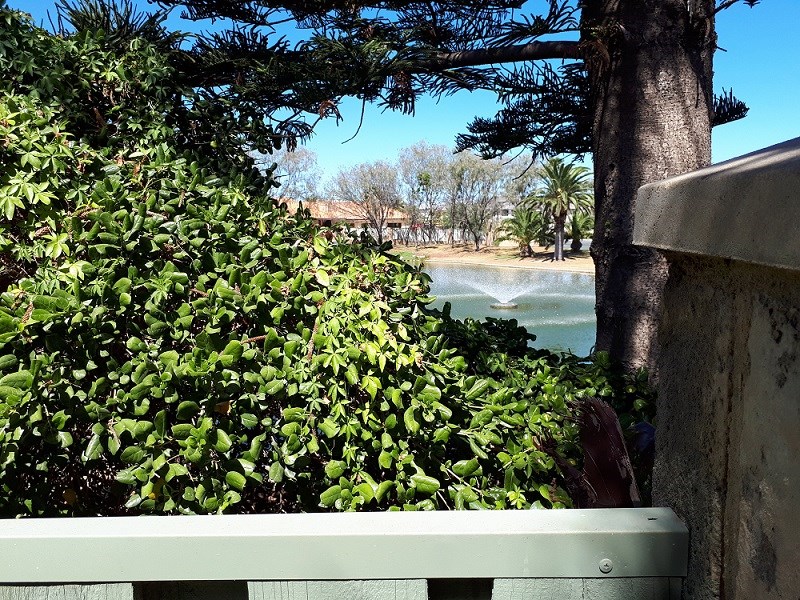 40E Bayport Circuit Mindarie WA 6030 House for Rent