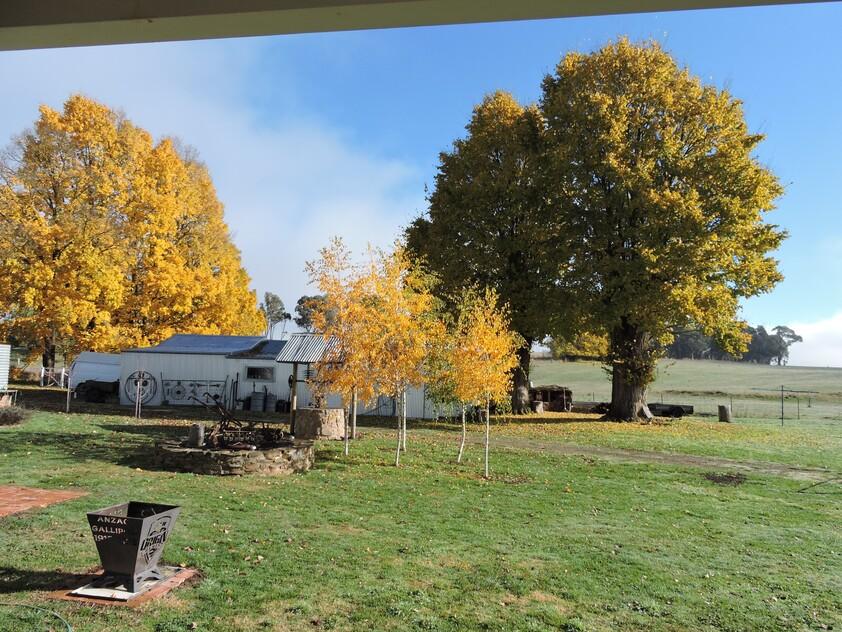 1730 Tumbarumba Road Rosewood NSW 2652 House for Sale