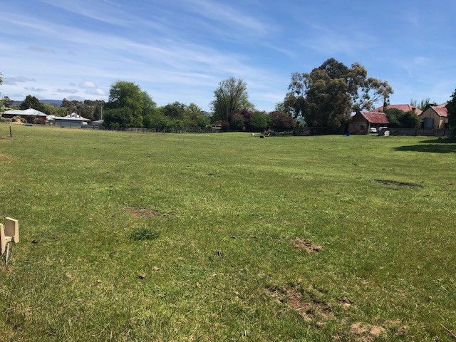 LARGE VACANT ALLOTMENT WITH SUB-DIVISION POTENTIAL (STCA)