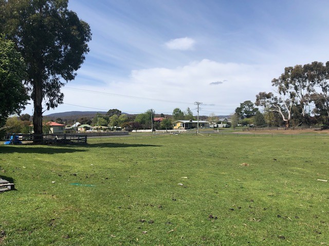 LARGE VACANT ALLOTMENT WITH SUB-DIVISION POTENTIAL (STCA)