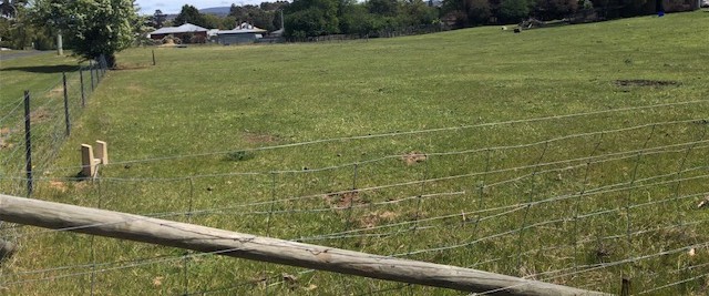 LARGE VACANT ALLOTMENT WITH SUB-DIVISION POTENTIAL (STCA)