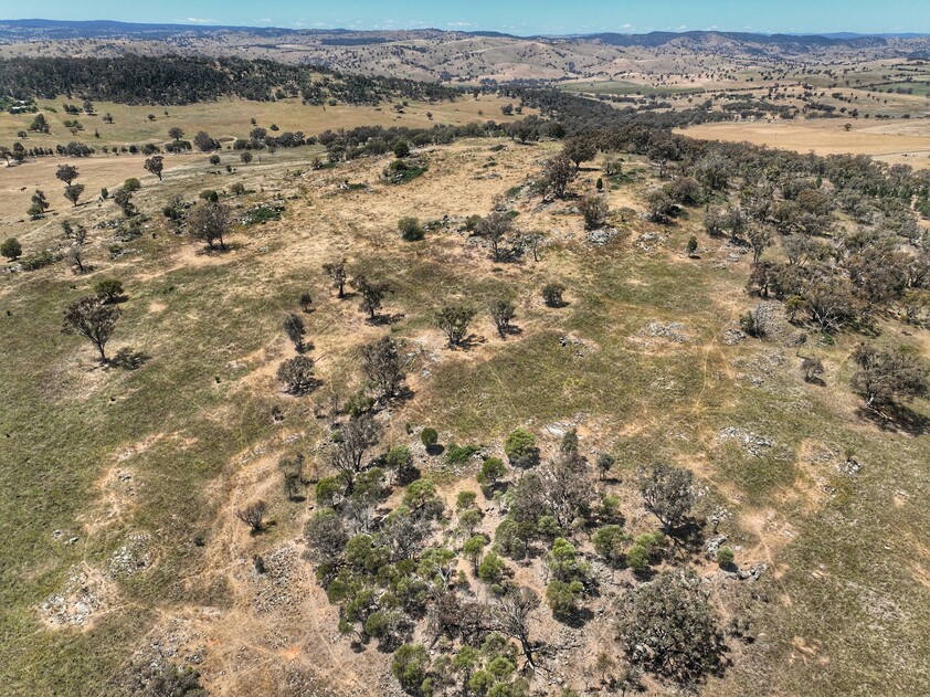 1294 Pine Mount Road Woodstock NSW 2793 Lifestyle for Sale