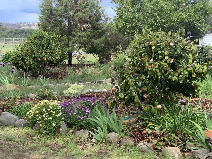 House for sale Beautiful East Coast of Tasmania - Peaceful Country Living, Minutes from the Coast. Country Charm on the Edge of Triabunna