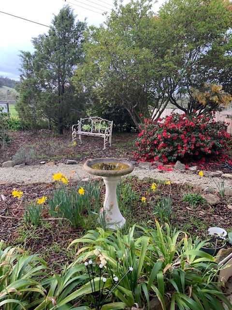 House for sale Beautiful East Coast of Tasmania - Peaceful Country Living, Minutes from the Coast. Country Charm on the Edge of Triabunna
