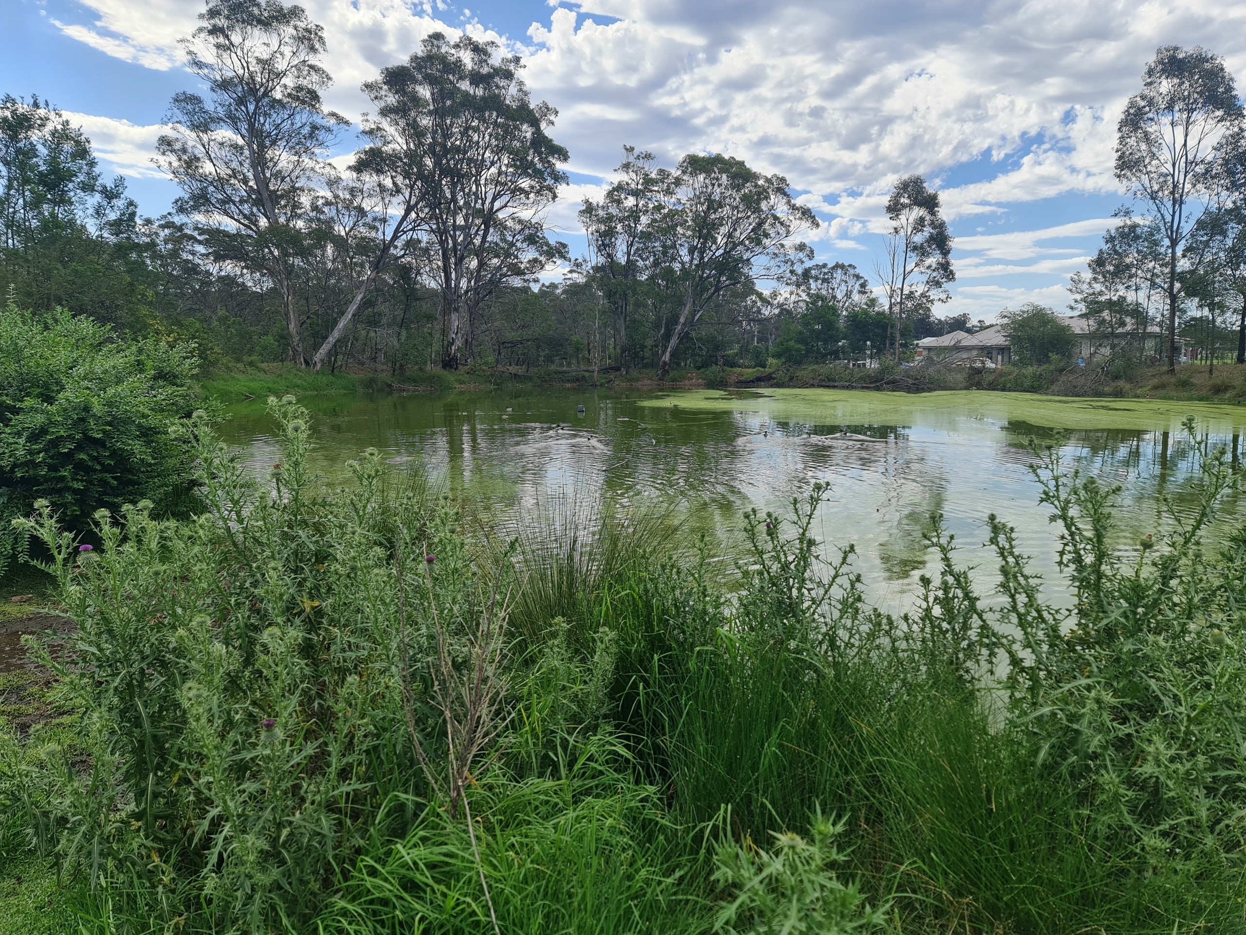 Tahmoor NSW Land for Sale