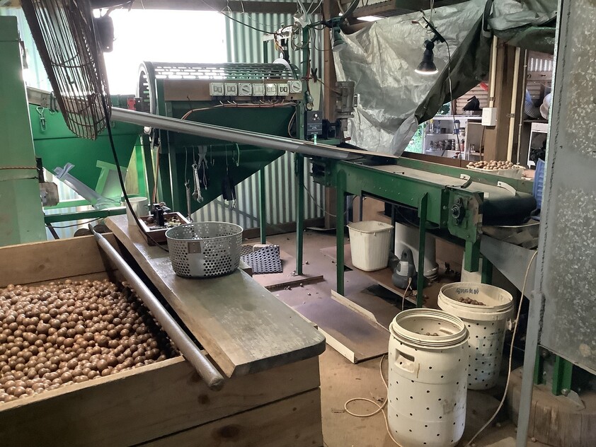 Peachester QLD Cropping for Sale