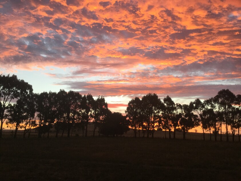 "Escape to Glenlyon Hard-to-Find Acreage with Space to Grow"