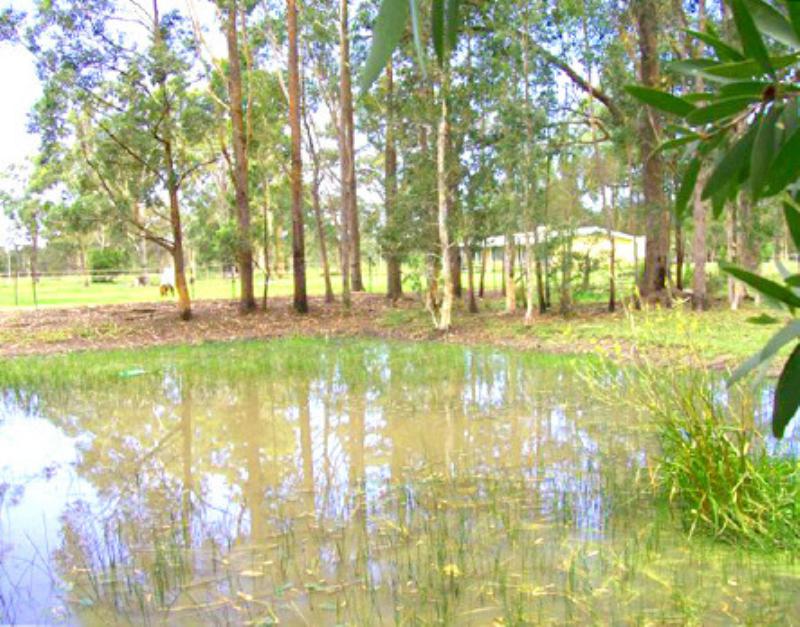 206 Wharf Rd Johns River NSW 2443 Lifestyle for Sale