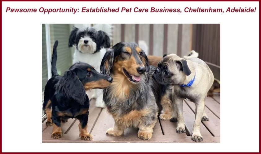 Pawsome Opportunity: Established Pet Care Business in Adelaide!