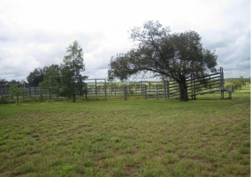 416 Duck Creek Road Roma QLD 4455 Livestock for Sale