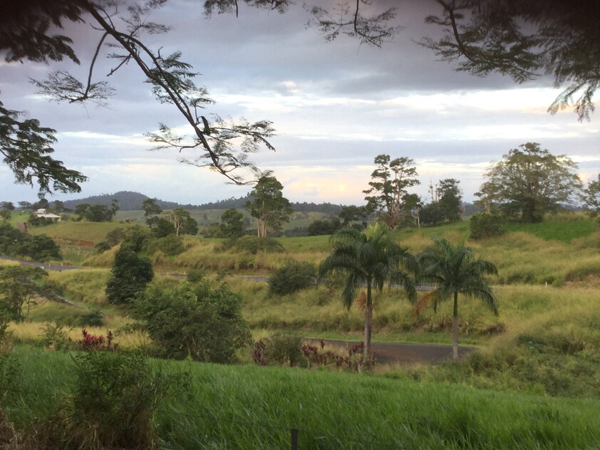 1964A Palmerston Highway East Palmerston QLD 4860 Acreage Semi rural