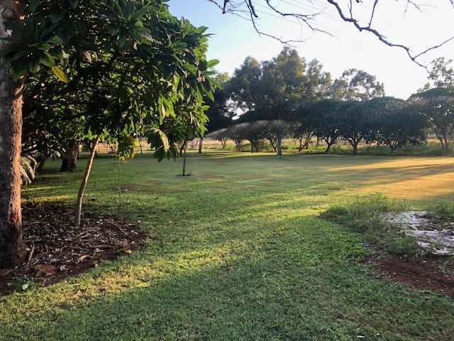 Expansive 67-Hectare Farm with Business Potential and Modern Amenities