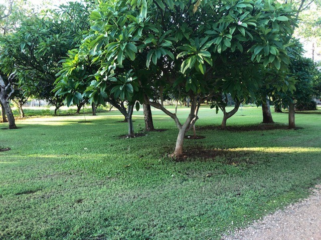 Expansive 67-Hectare Farm with Business Potential and Modern Amenities
