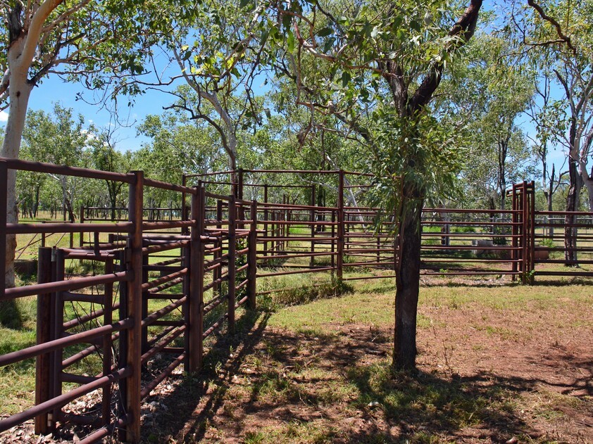 Expansive 67-Hectare Farm with Business Potential and Modern Amenities
