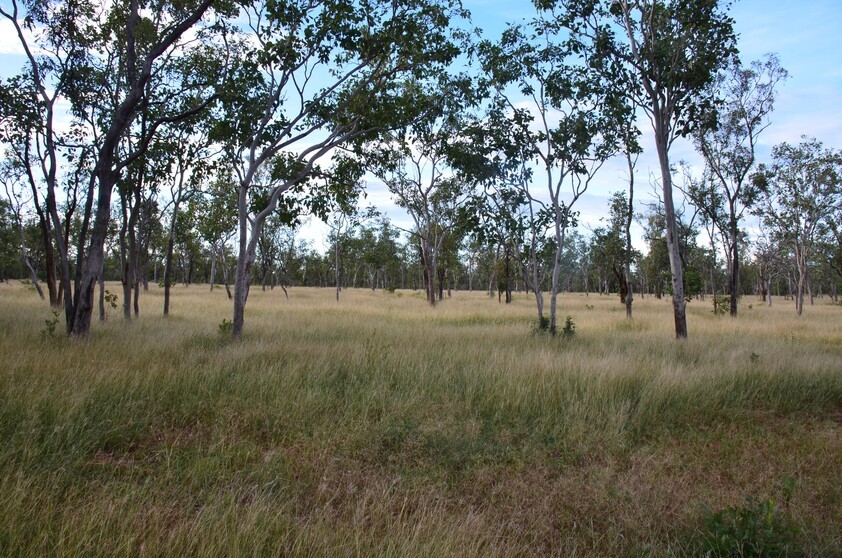 Expansive 67-Hectare Farm with Business Potential and Modern Amenities