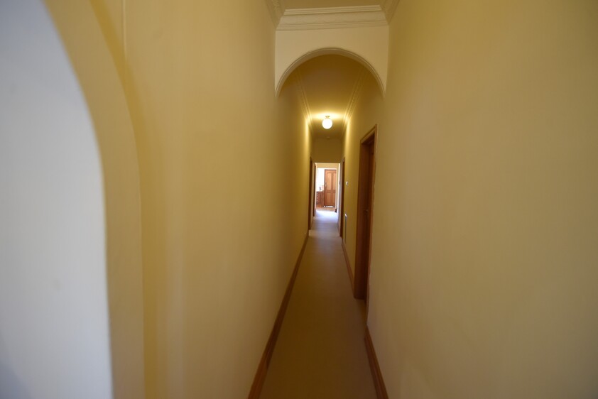 Professional rooms
