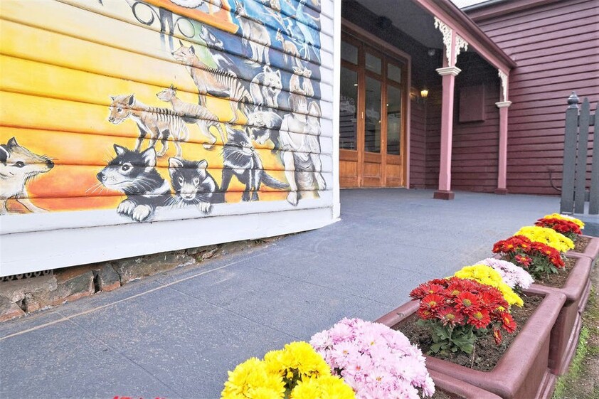 Iconic and Historic Commercial Property in the Heart of Sheffield Tasmania
