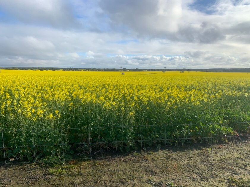 Wanilla Farm For Lease by Expression of Interest