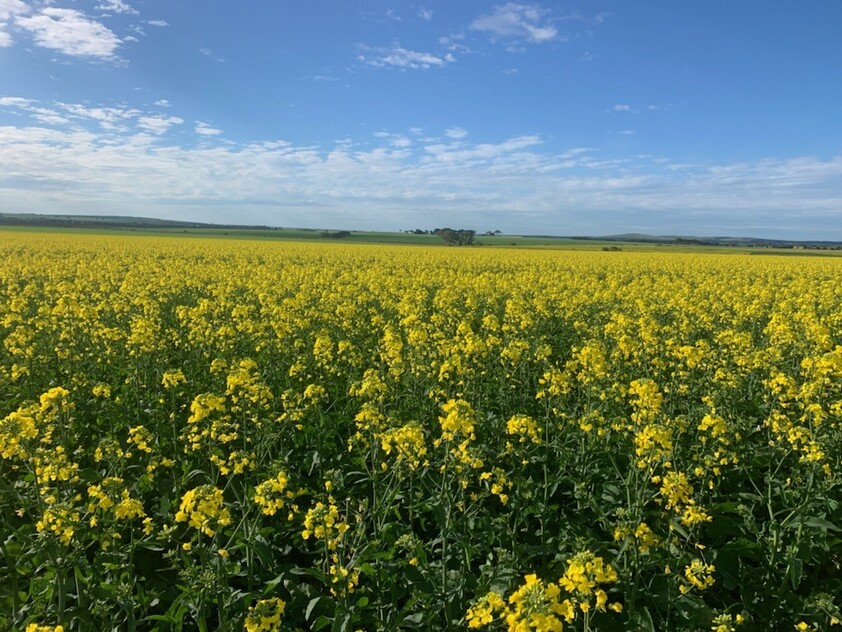 Wanilla Farm For Lease by Expression of Interest