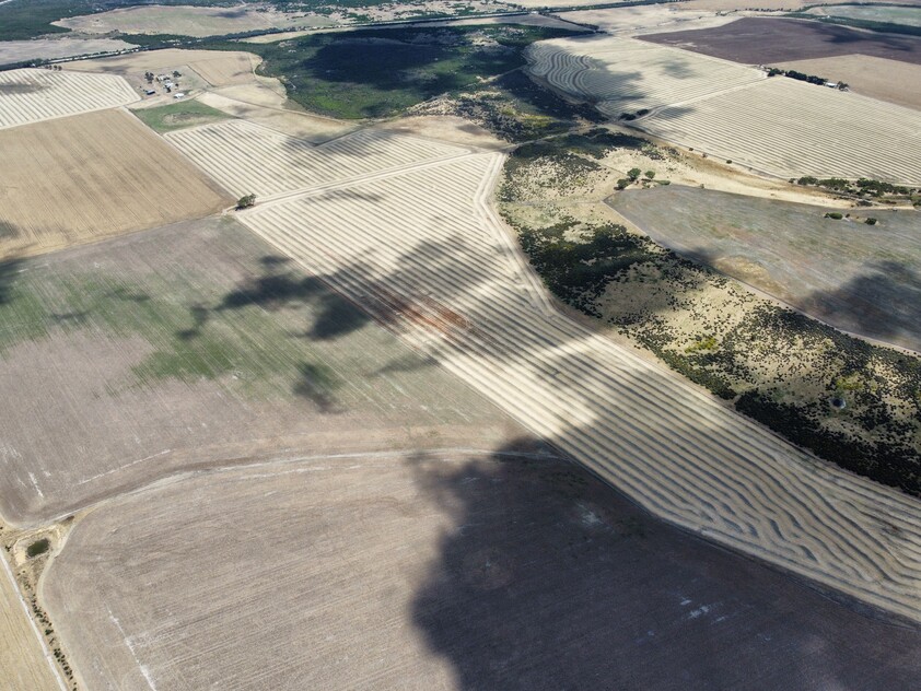 Wanilla Farm For Lease by Expression of Interest