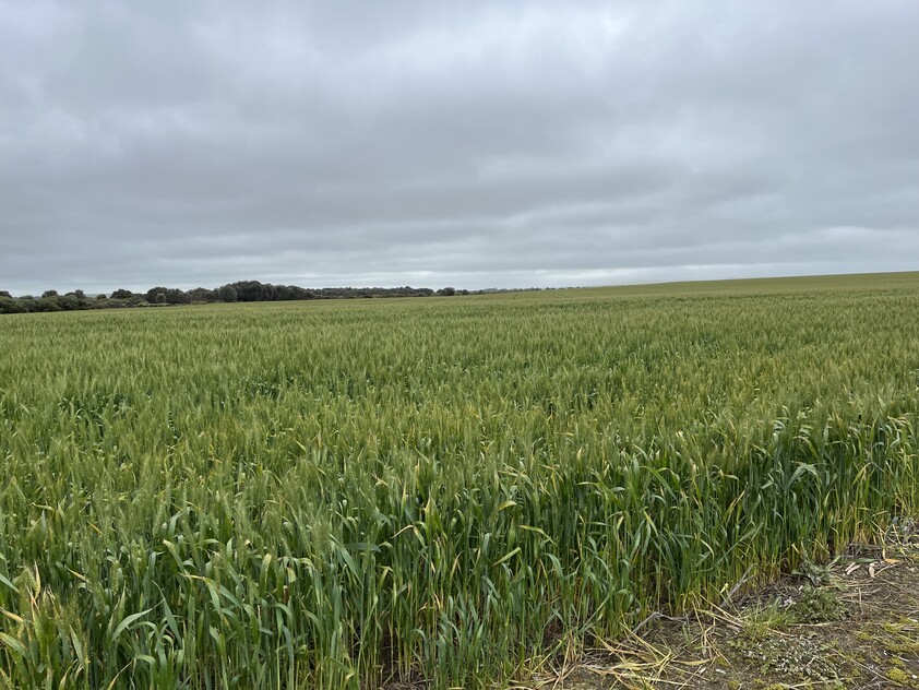 Wanilla Farm For Lease by Expression of Interest
