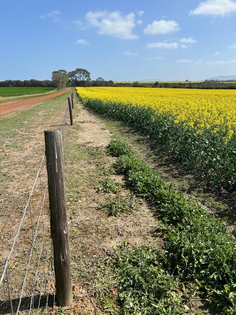 Wanilla Farm For Lease by Expression of Interest