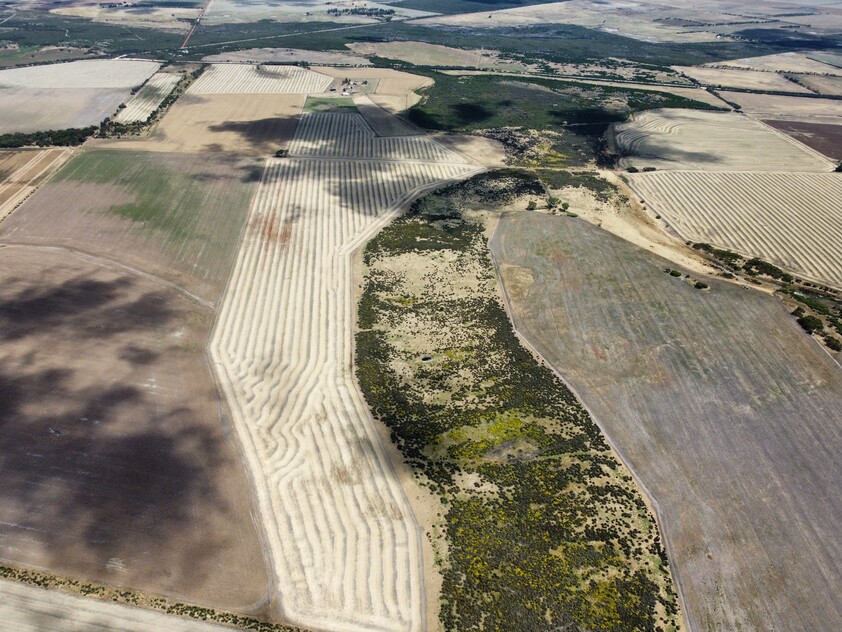 Wanilla Farm For Lease by Expression of Interest