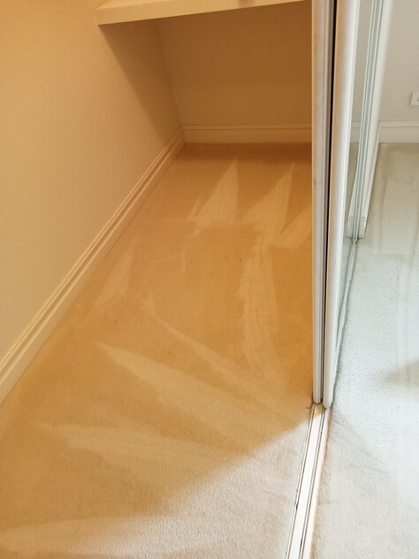 URGENT SALE- Profitable Owner-Operator Carpet Cleaning Business Growth Potential