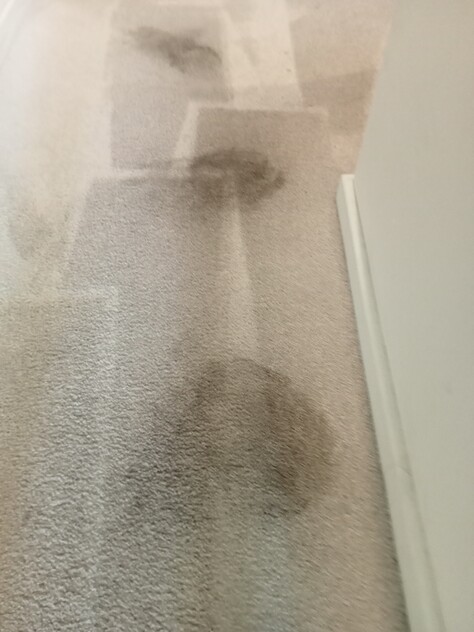 URGENT SALE- Profitable Owner-Operator Carpet Cleaning Business Growth Potential