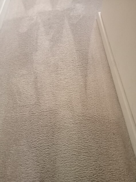 URGENT SALE- Profitable Owner-Operator Carpet Cleaning Business Growth Potential
