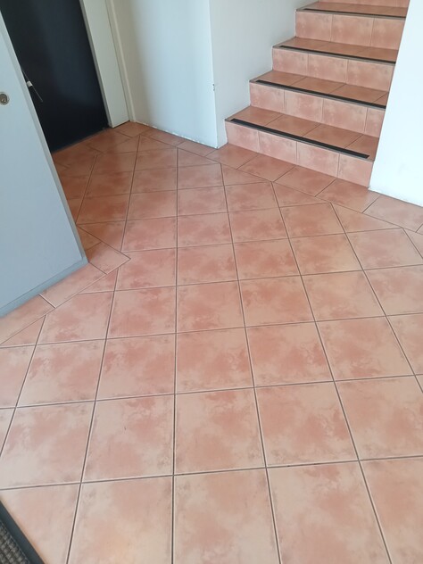 URGENT SALE- Profitable Owner-Operator Carpet Cleaning Business Growth Potential