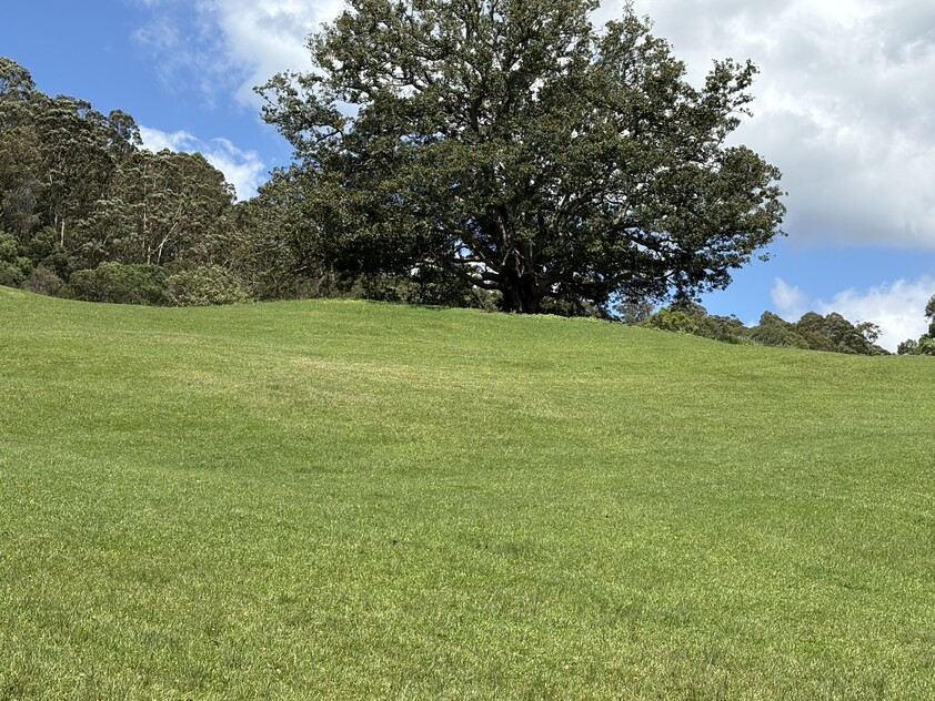 Small Parcel of Land Kangaroo valley