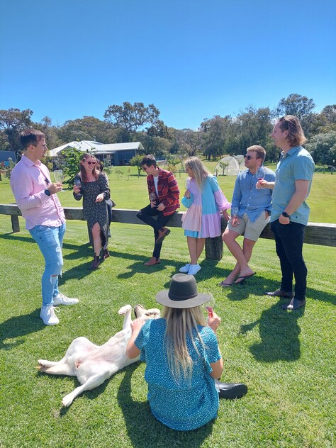 Highly Profitable Beer & Wine Tour Business in Margaret River