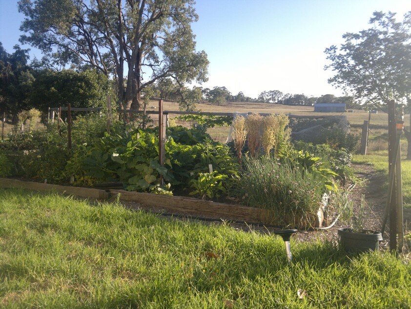 Grazing Property with Dual Residences and Established Infrastructure. Biodiversity Credits Investment Opportunity.