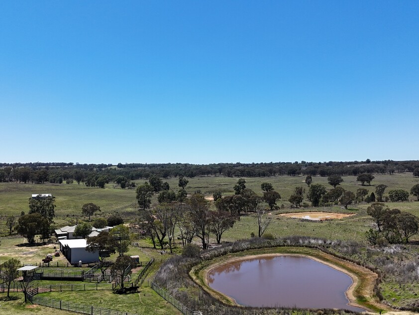 Grazing Property with Dual Residences and Established Infrastructure. Biodiversity Credits Investment Opportunity.