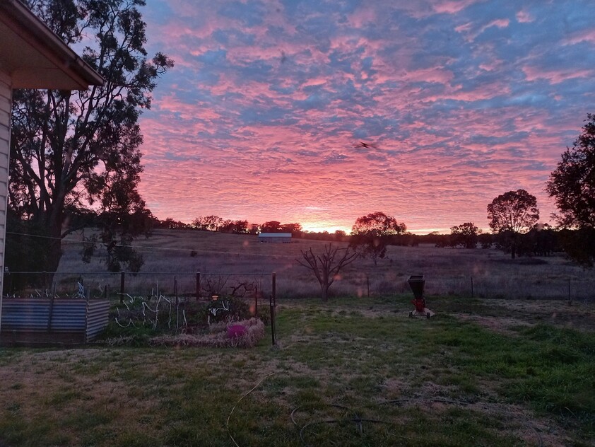 Grazing Property with Dual Residences and Established Infrastructure. Biodiversity Credits Investment Opportunity.