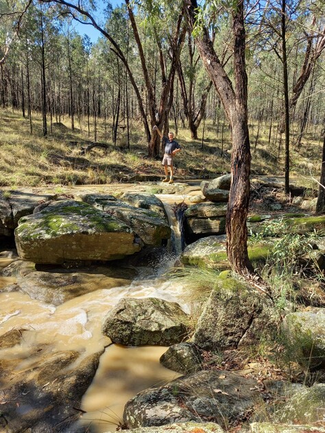 Grazing Property with Dual Residences and Established Infrastructure. Biodiversity Credits Investment Opportunity.
