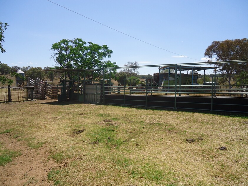 Grazing Property with Dual Residences and Established Infrastructure. Biodiversity Credits Investment Opportunity.