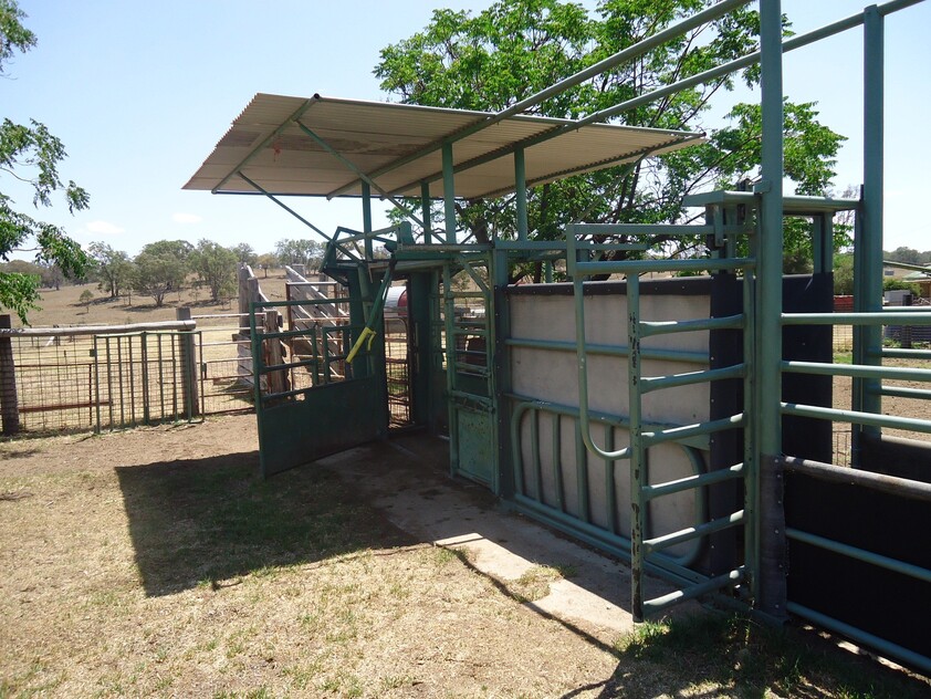 Grazing Property with Dual Residences and Established Infrastructure. Biodiversity Credits Investment Opportunity.
