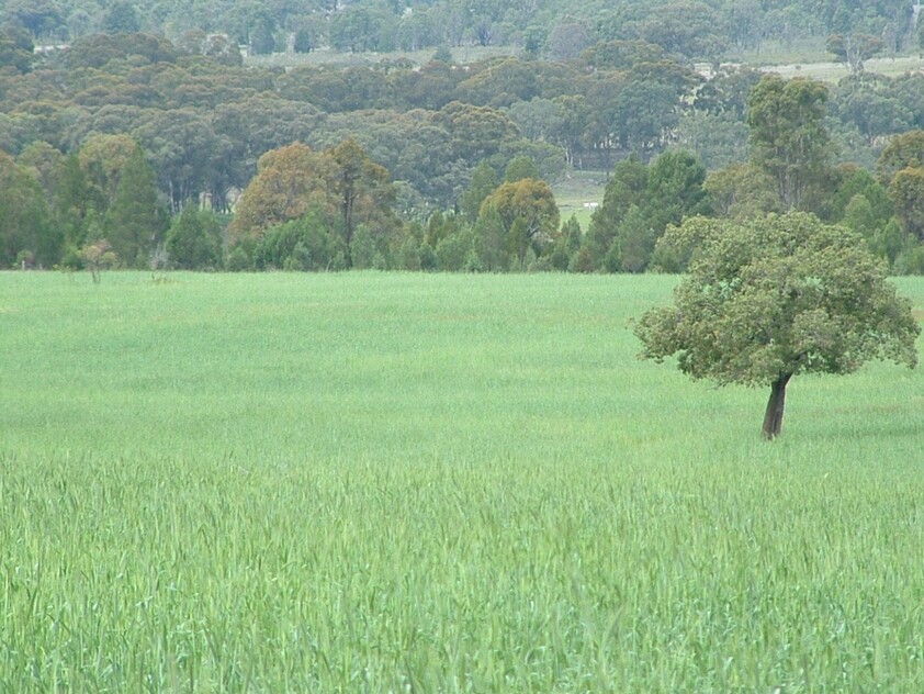 Grazing Property with Dual Residences and Established Infrastructure. Biodiversity Credits Investment Opportunity.